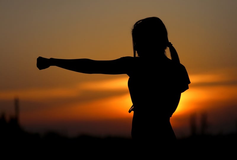 Chen Style Martial Arts
